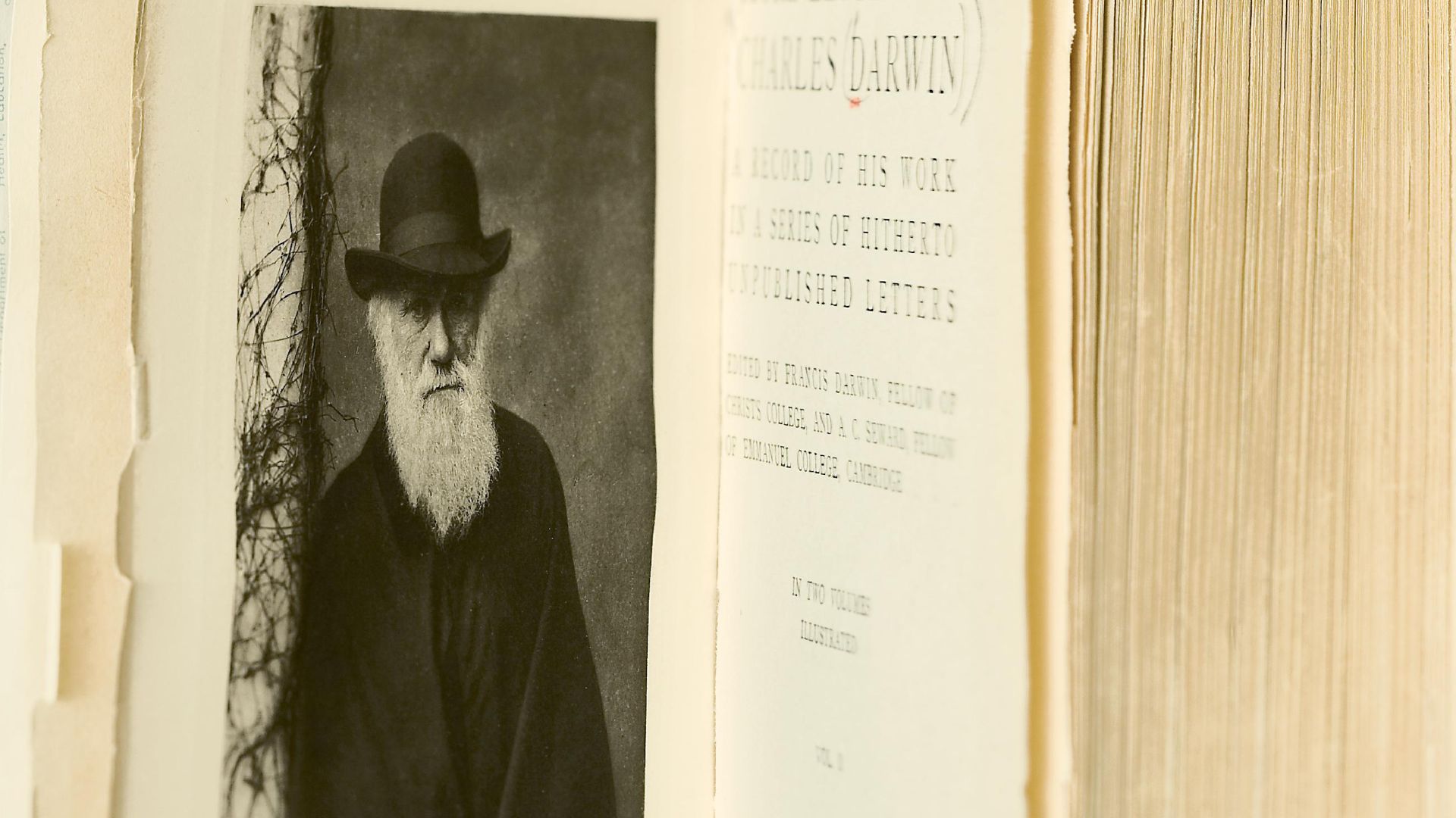 Alternate Title(s):  
Ch. Darwin
Publication:

 Bethesda, MD : U.S. National Library of Medicine, National Institutes of Health, Health & Human Services, [2010]  Language(s):  English

Format:  
Still image
Subject(s):  
Famous Persons
Darwin, Charles, 1809-1882.
Genre(s):  
Portraits
Abstract:  Image of the frontispiece portrait of Charles Darwin and title page from v. 2 of Darwin's More letters of Charles Darwin, 1903. The portrait shows Darwin in a long white beard, wearing a dark cape and brimmed hat.
Related Title(s):  
Hidden treasure
Is part of: More letters of Charles Darwin; See related catalog record: 55410480R
Extent:  
1 online resource (1 image)
NLM Unique ID:  
101601068
NLM Image ID:  
A033244
Permanent Link:  
http://resource.nlm.nih.gov/101601068
NLM Hidden treasure p. 69 

http://resource.nlm.nih.gov/101569502