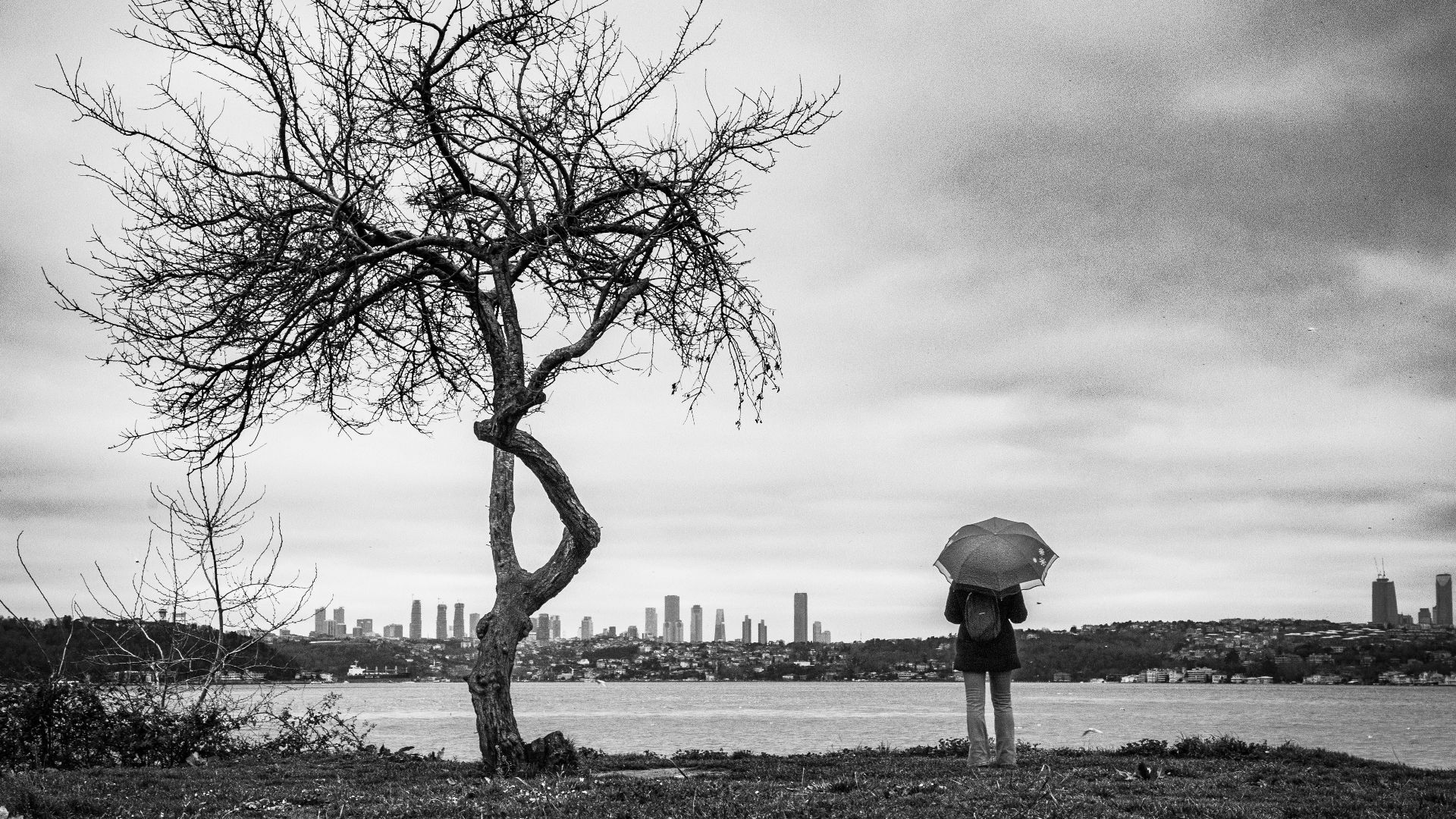 A lone woman with an umbrella stands by a tree overlooking the Istanbul skyline in the rain.