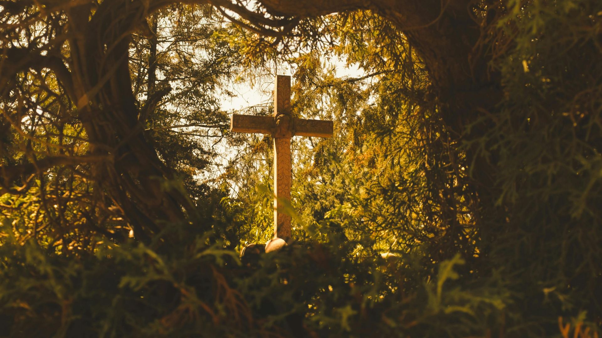 A rustic wooden cross illuminated by warm sunlight, framed by leafy branches, evoking peace and spirituality.