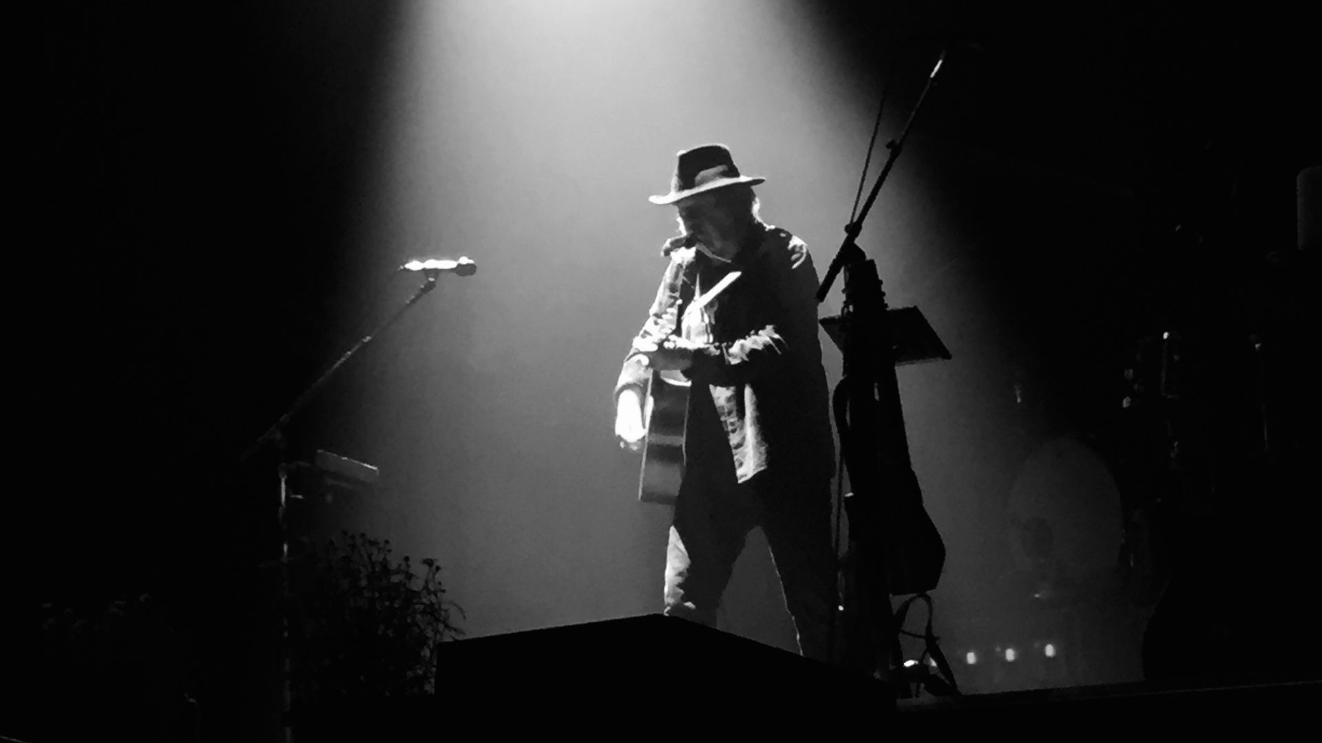 Neil Young in 2016