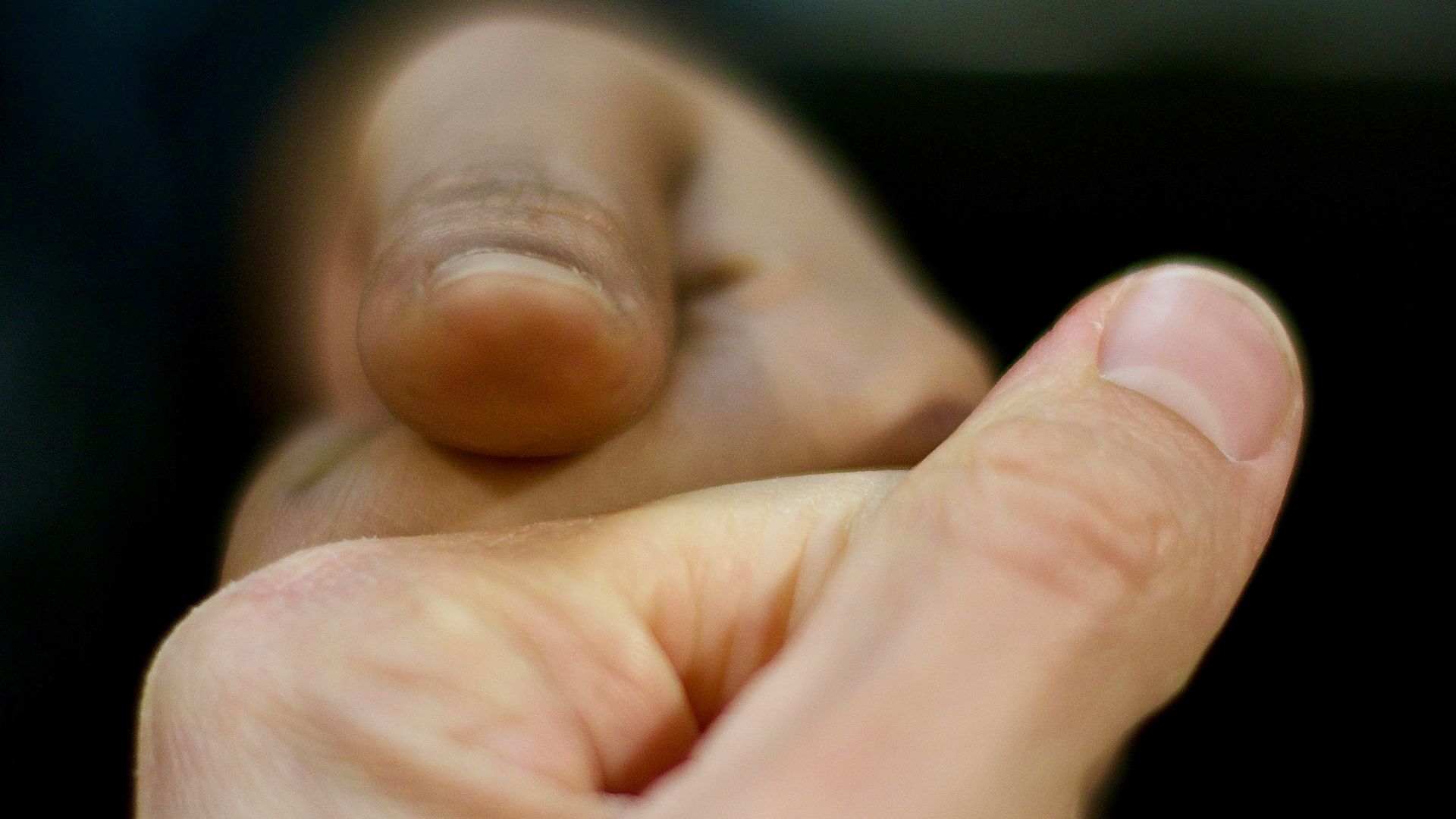 A close up of a person holding something in their hand