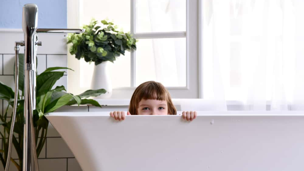 Never Told Stories facts