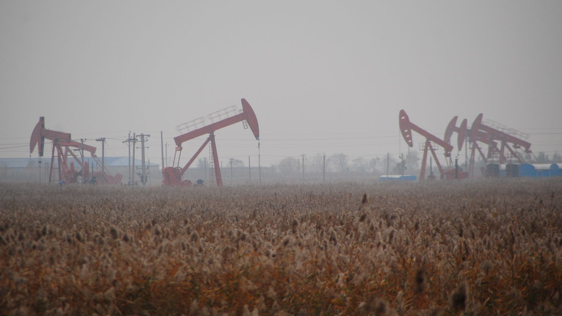 Liaohe oil field in Panjin, Liaoning, China