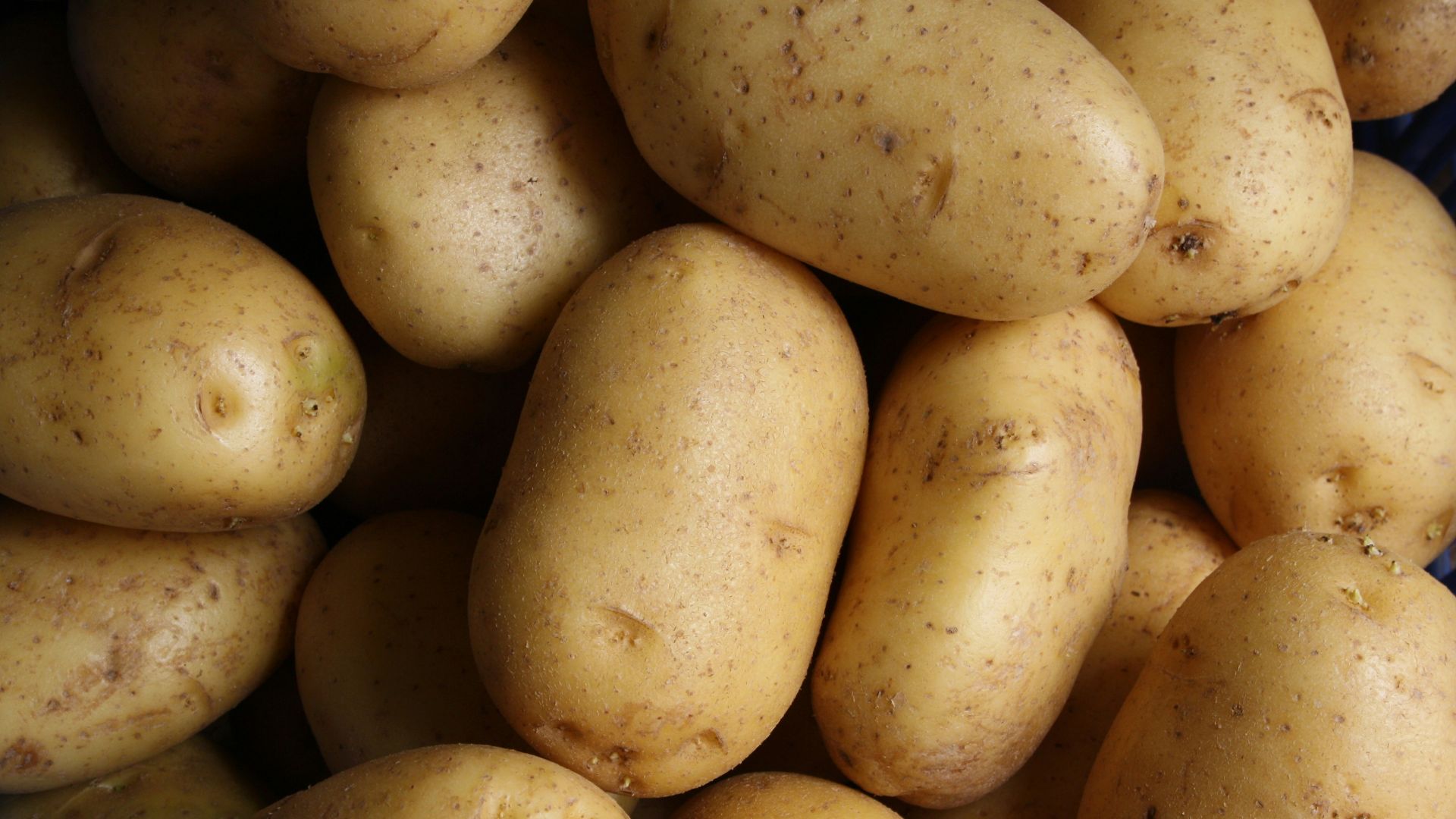 brown potato lot
