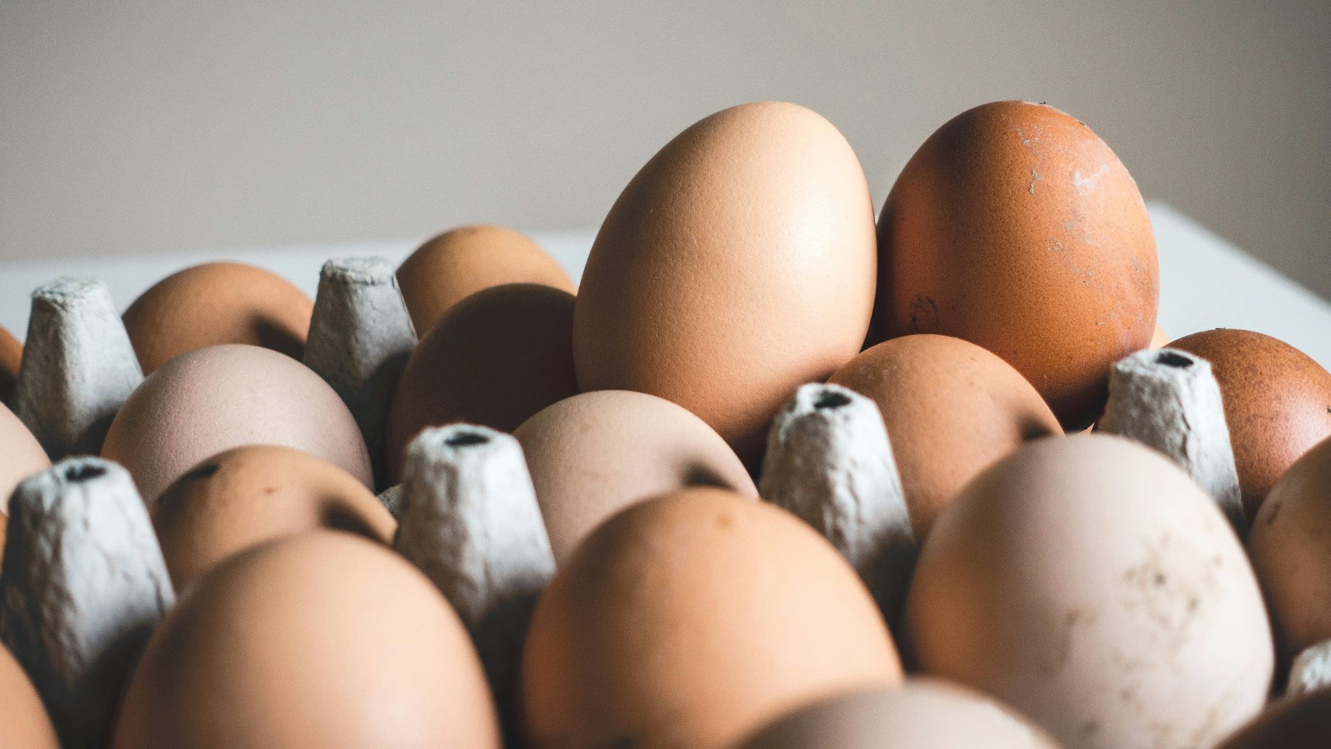 shallow focus photography of brown eggs