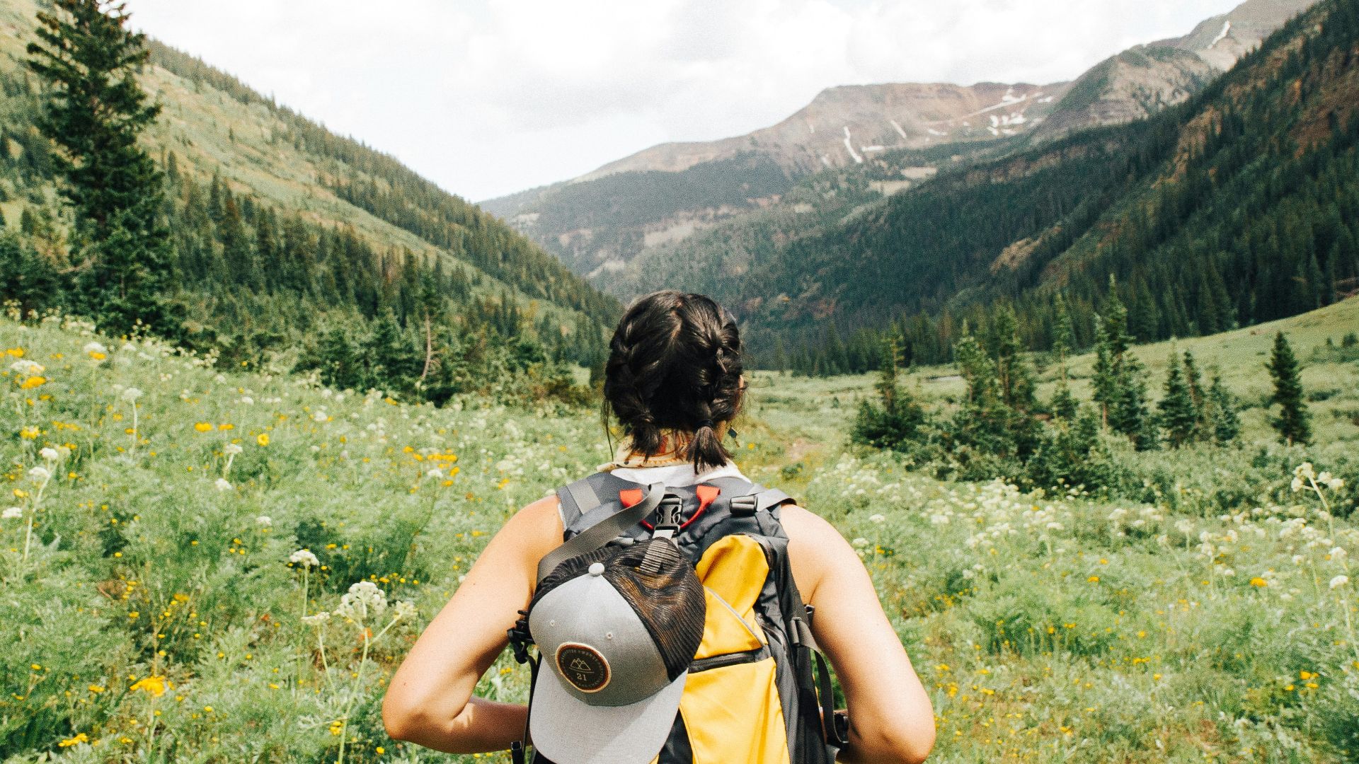 person carrying yellow and black backpack walking between green plants