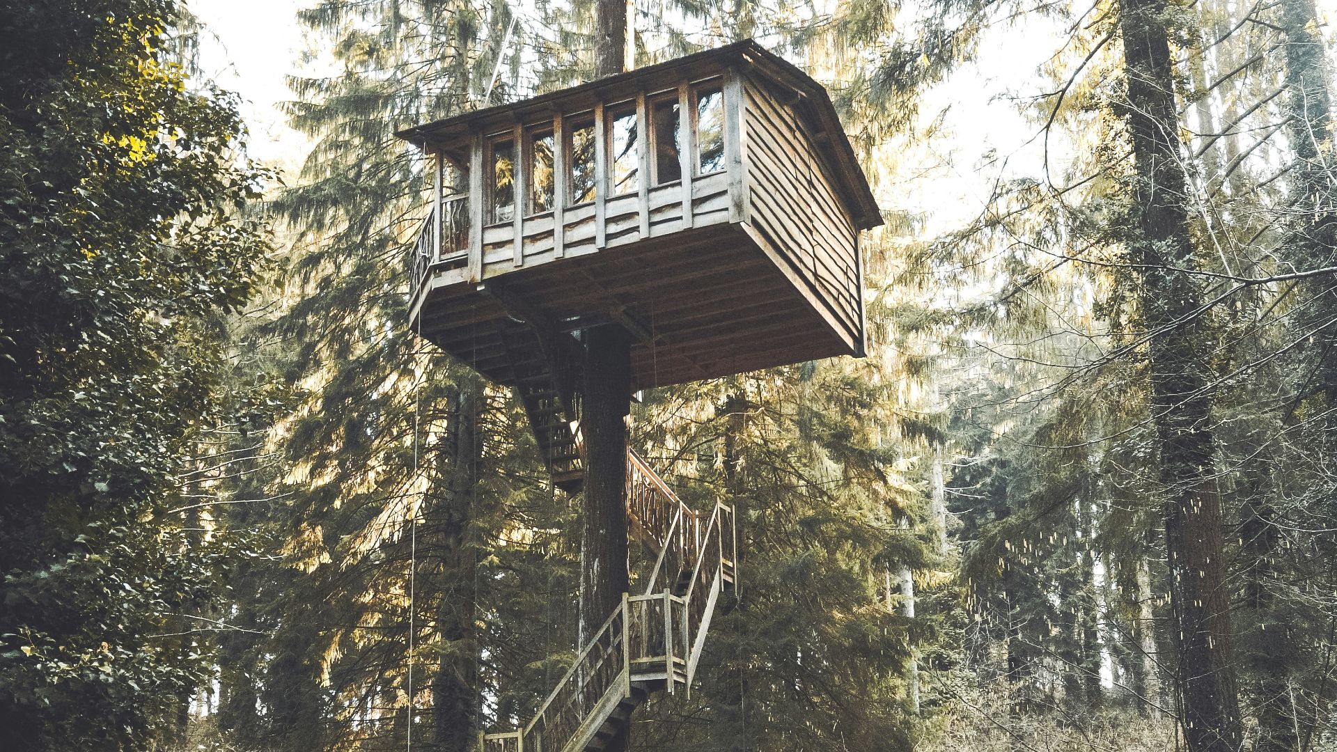 gray and brown wooden tree houose