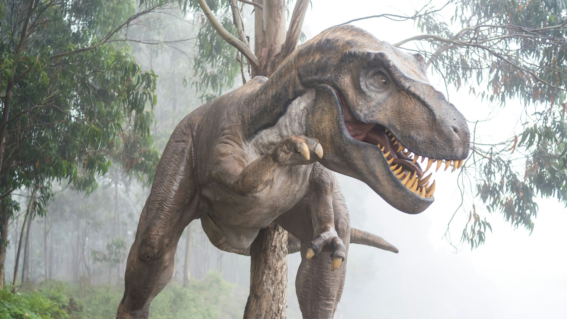 brown dinosaur illustration
