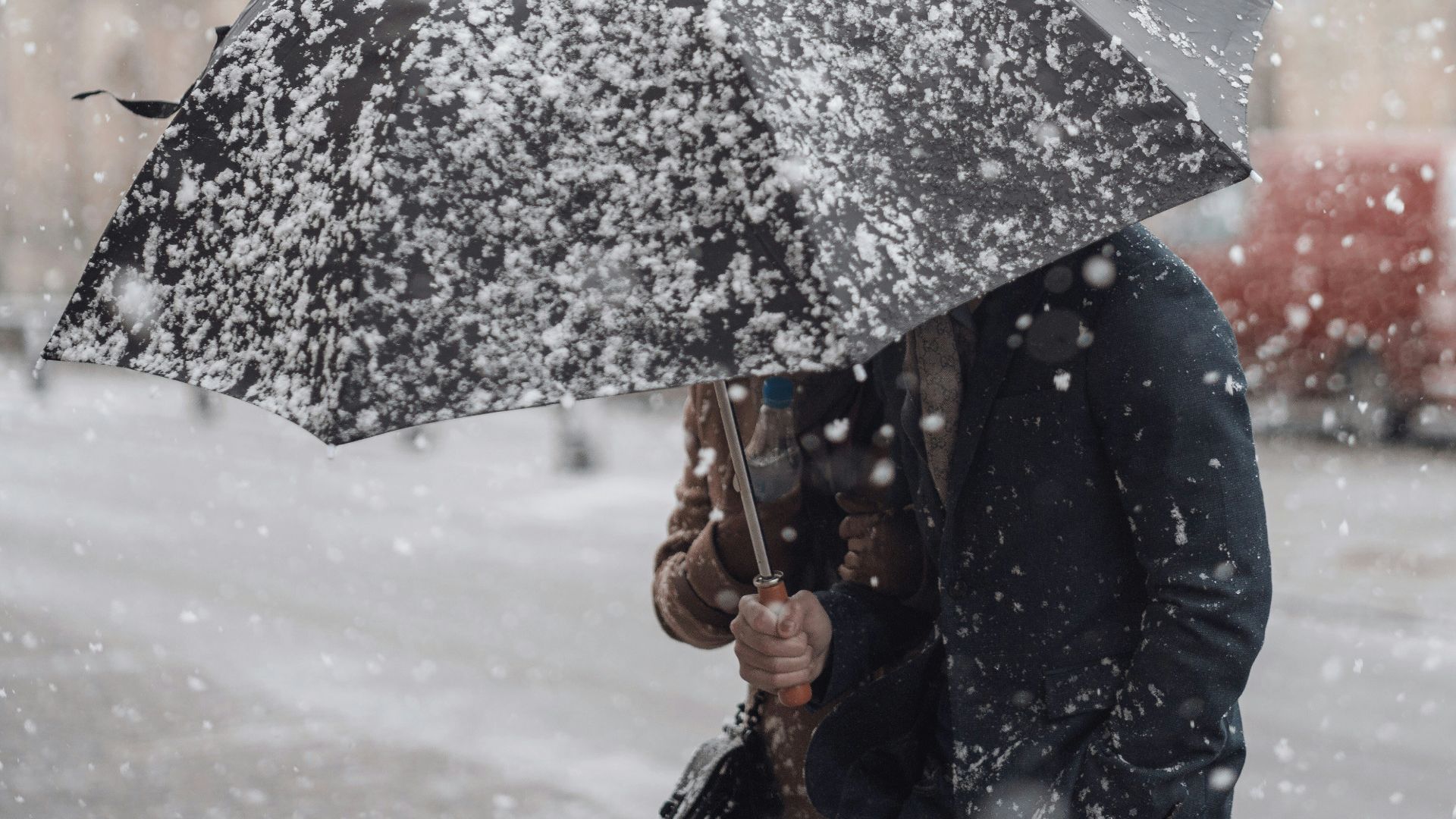 person holding black umbrella