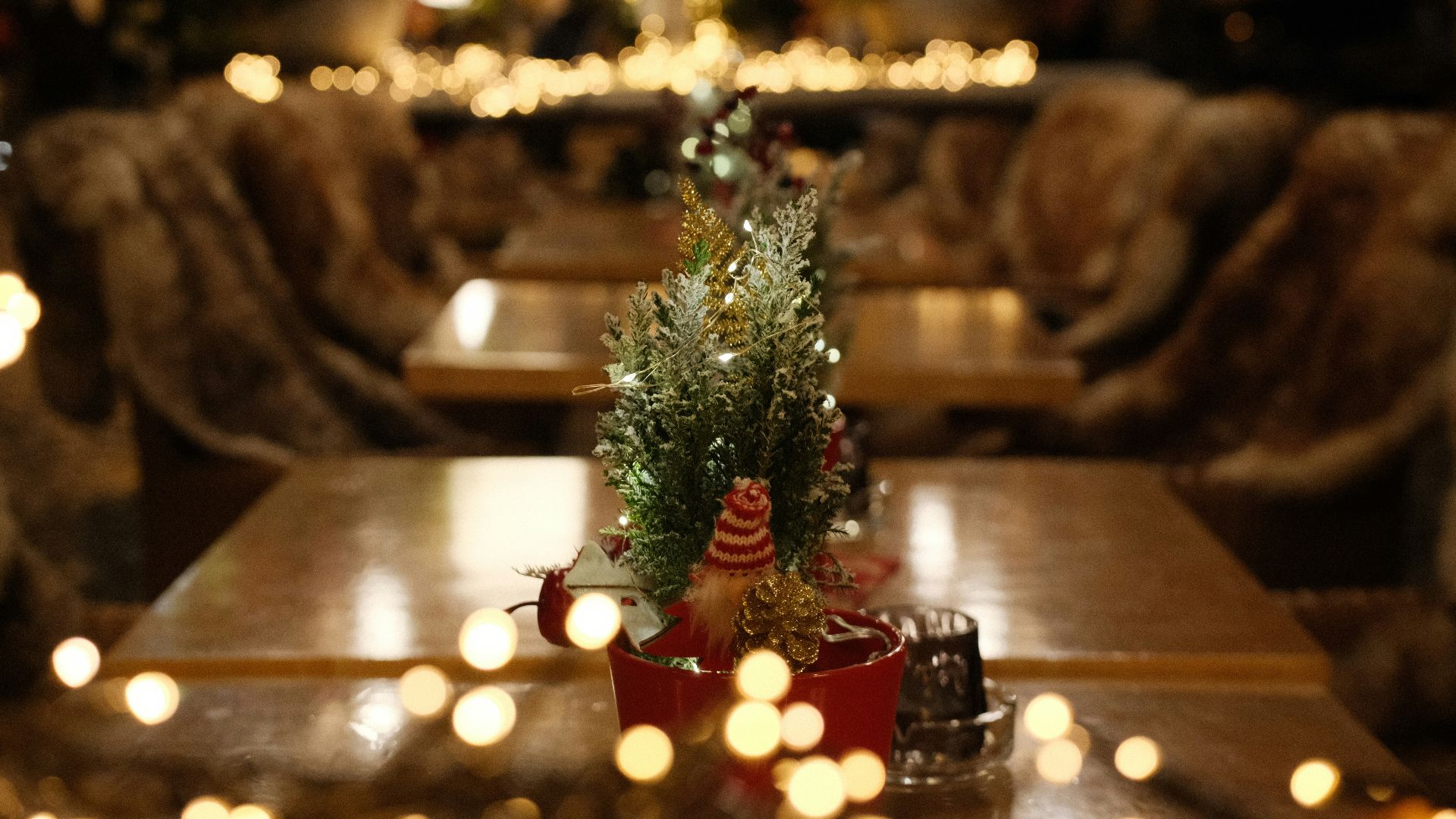Cozy restaurant with christmas tree and warm lights