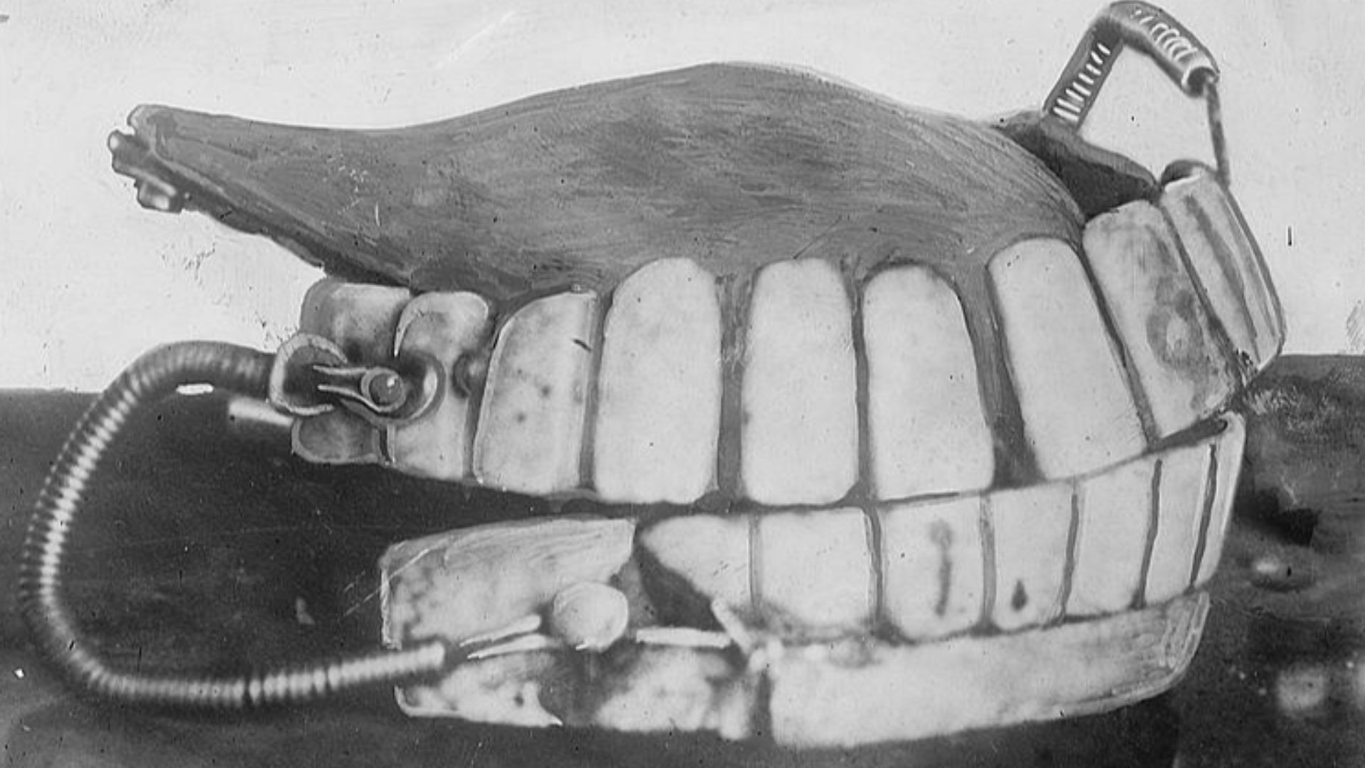 Bain News Service,, publisher.
G. Washington's teeth
[between 1910 and 1915]
1 negative : glass ; 5 x 7 in. or smaller.
Notes:
 Title from unverified data provided by the Bain News Service on the negatives or caption cards.
Forms part of: George Grantham Bain Collection (Library of Congress).
Format:  Glass negatives.
Rights Info:  No known restrictions on publication.
Repository:  Library of Congress, Prints and Photographs Division, Washington, D.C. 20540 USA, <a href=