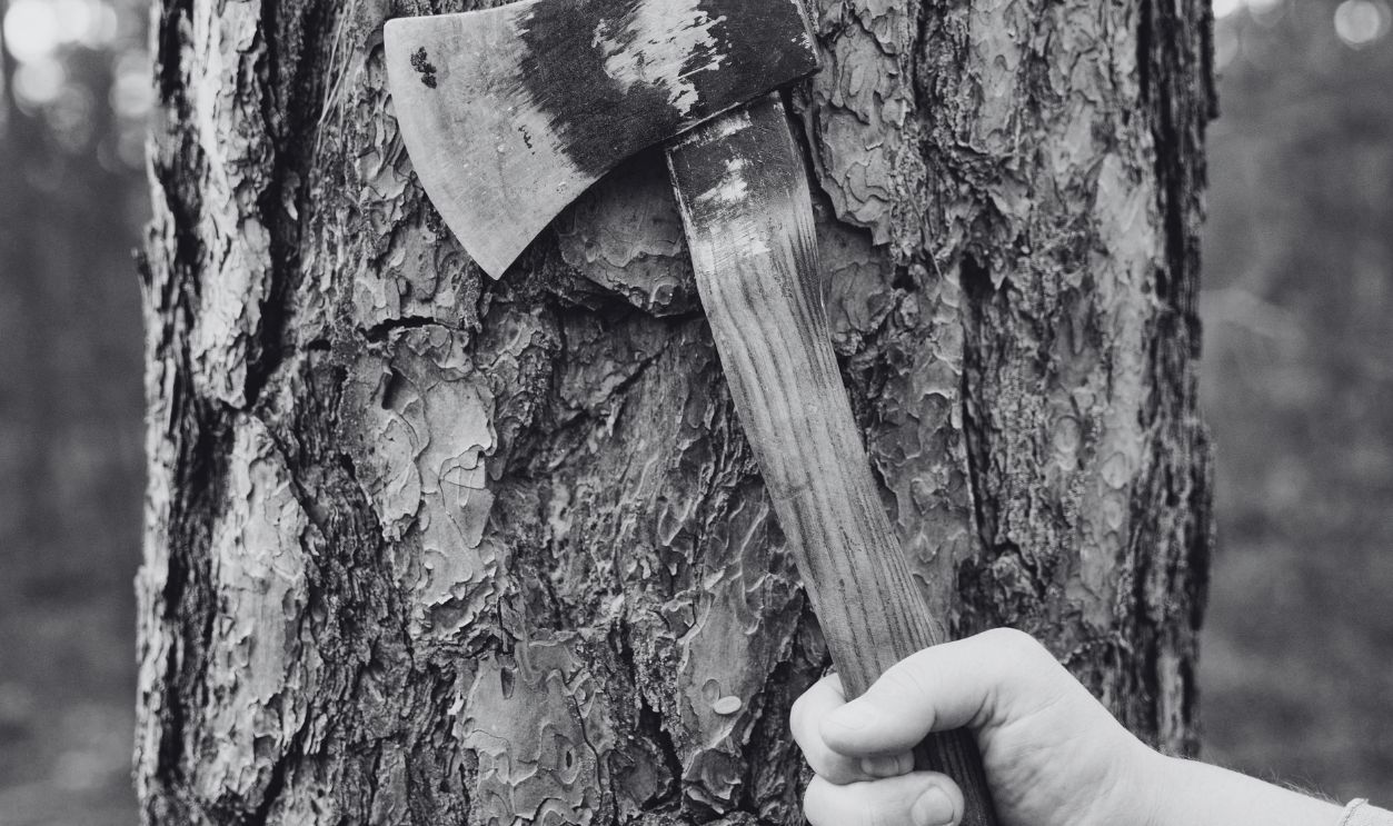 A Person Holding an Axe