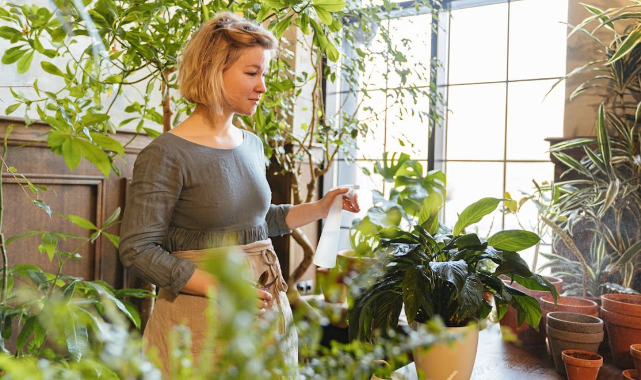A woman nurturing indoor plants with a spray bottle in a bright room with large windows