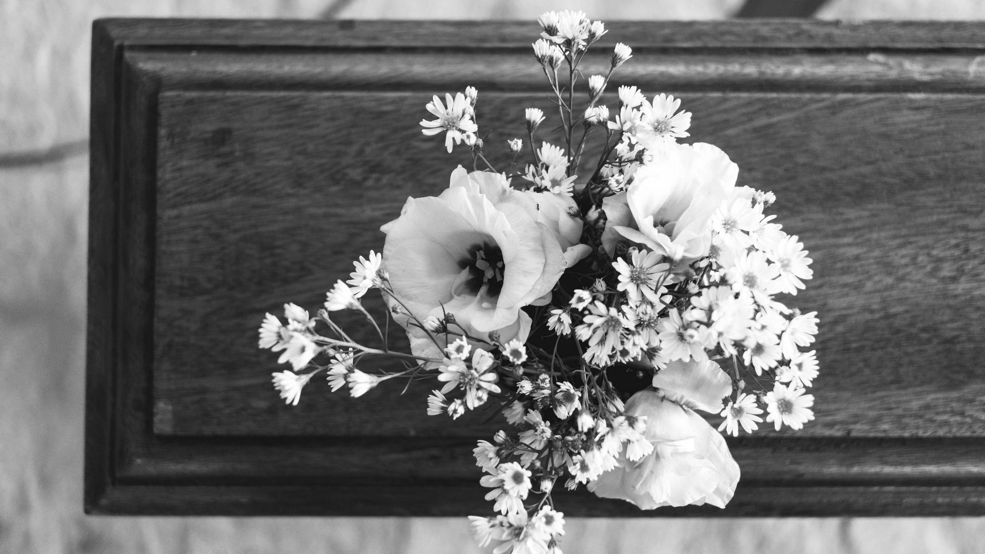 pink and white flowers