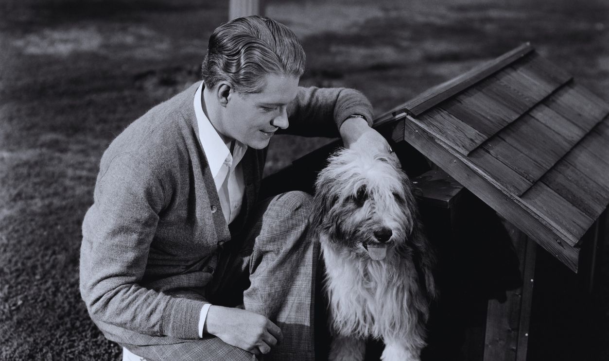 Gettyimages - 	526866166, Actor Nelson Eddy with His Dog Sheba 