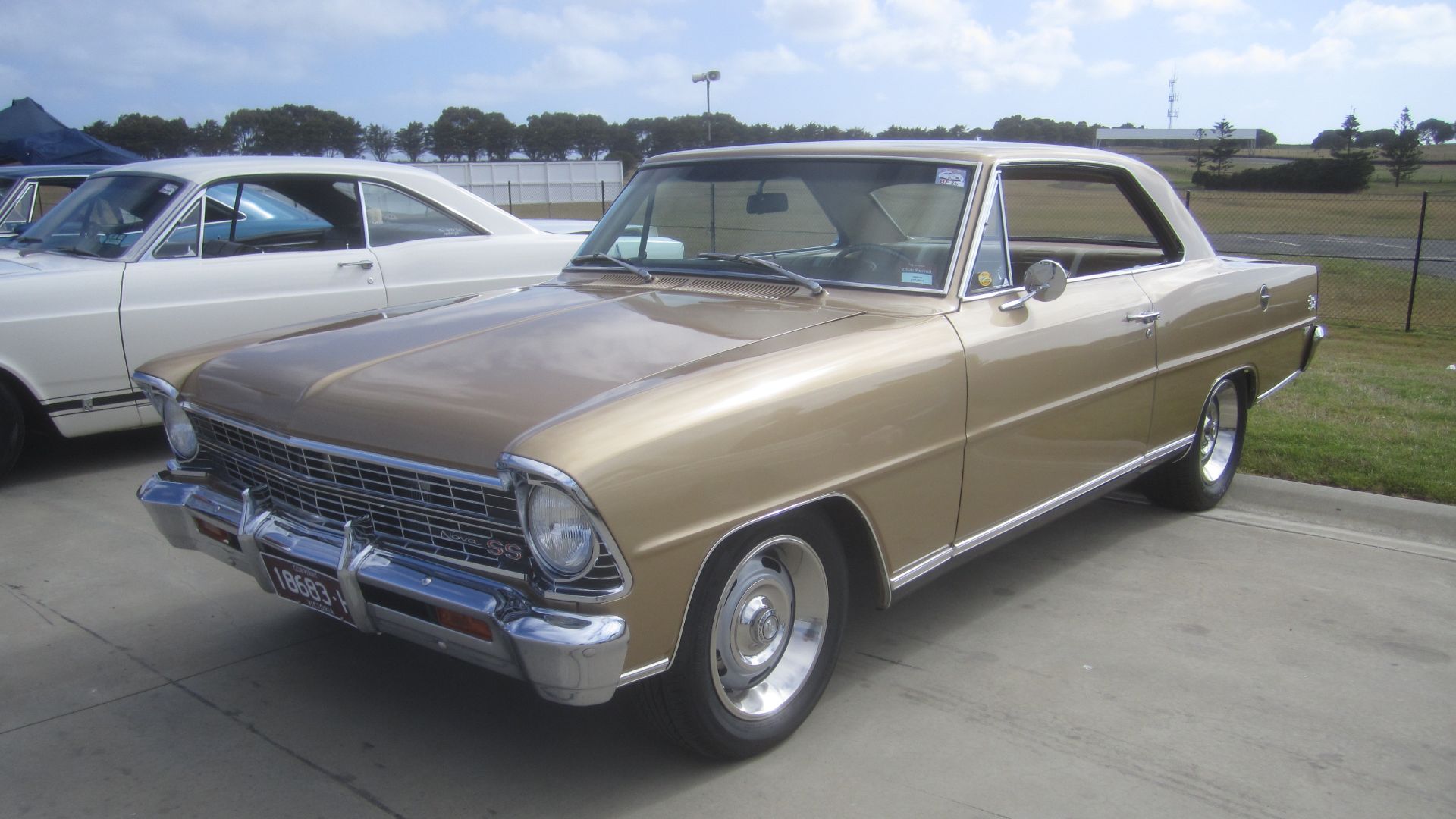 Granada Gold. 
The Nova or Chevy II as it was earlier known, was a compact car running through 5 generations from 1962-79 and 1985-88.
The 1st generation ran from 1962-65, the 2nd from 1966-67, it got sharper edges, a new grille and a semi fastback roofli