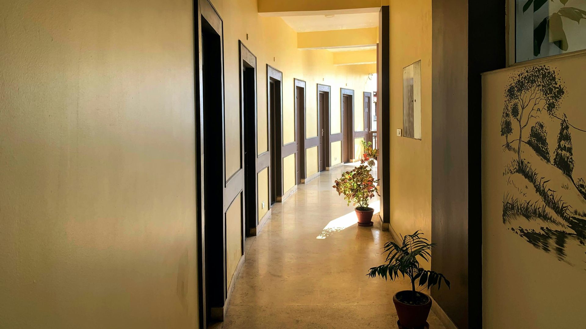 a long hallway with a potted plant next to it