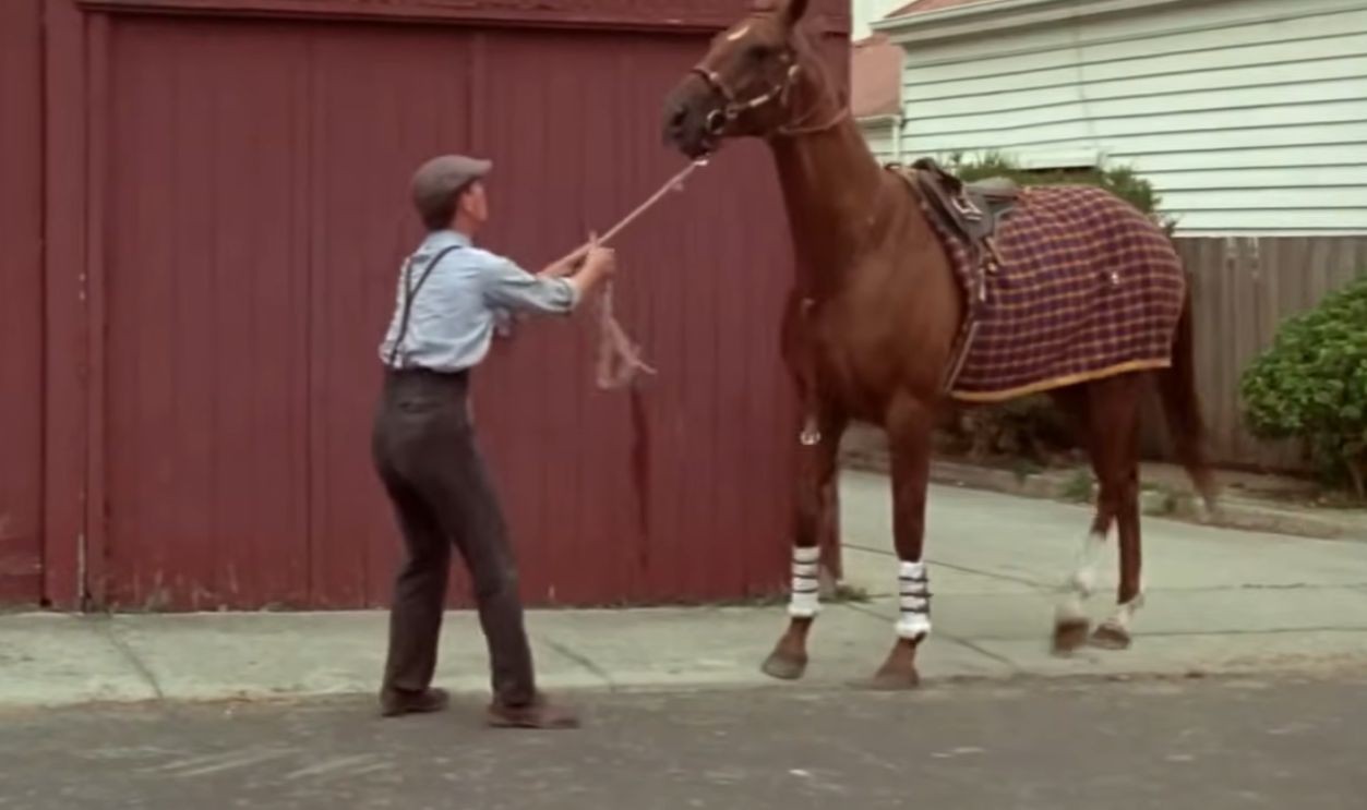 Screenshot from Phar Lap (1983)