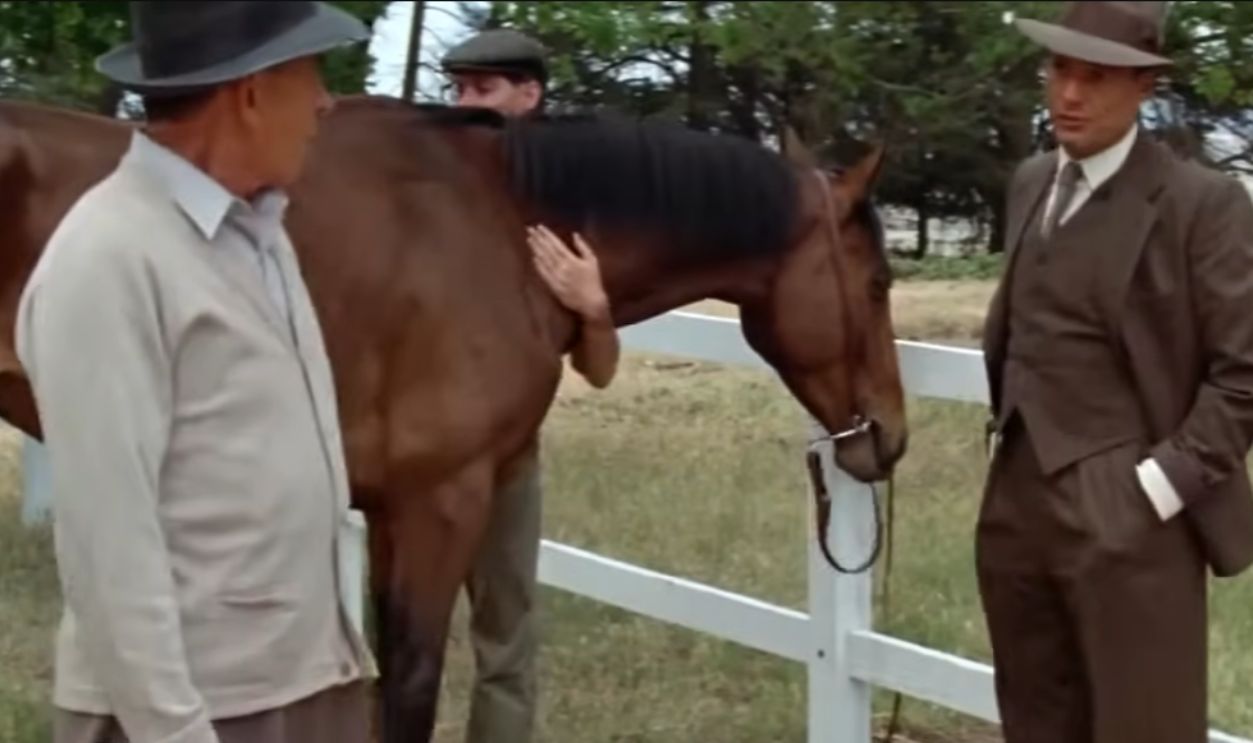 Screenshot from Phar Lap (1983)