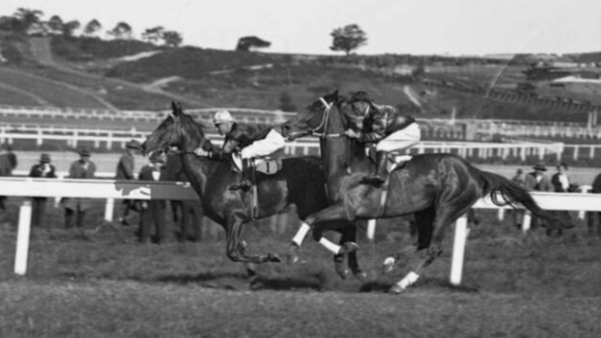 Phar Lap Jim Pike on outside and Chide W.Cook AJC Randwick Plate in straight first time. https://trove.nla.gov.au/newspaper/article/223667959