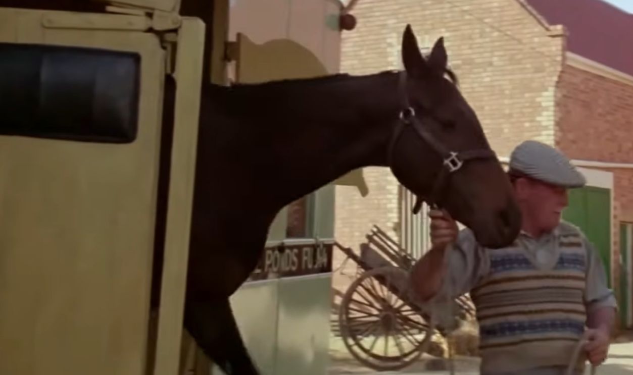 Screenshot from Phar Lap (1983)