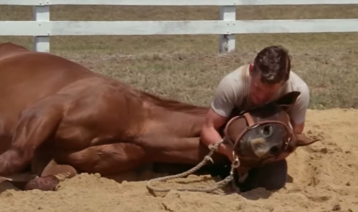 Screenshot from Phar Lap (1983)