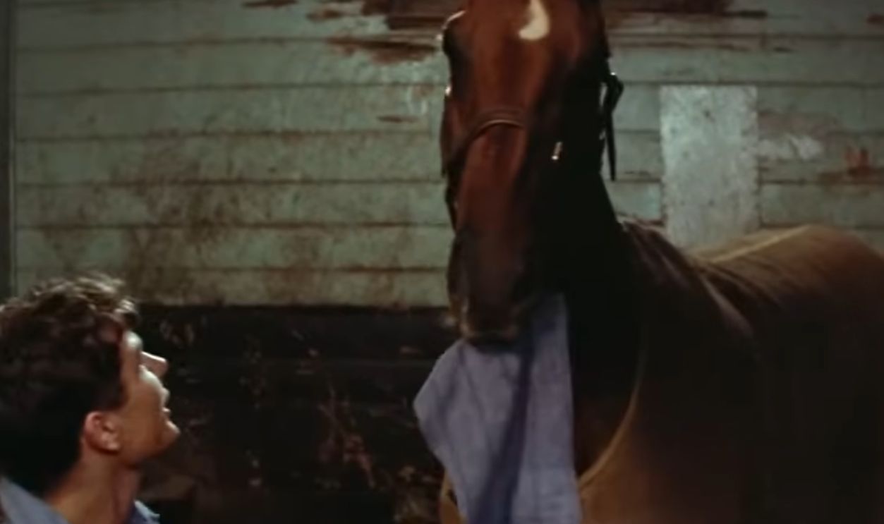 Screenshot from Phar Lap (1983)