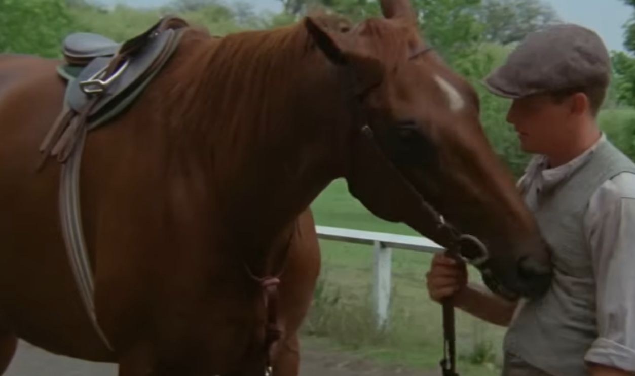 Screenshot from Phar Lap (1983)