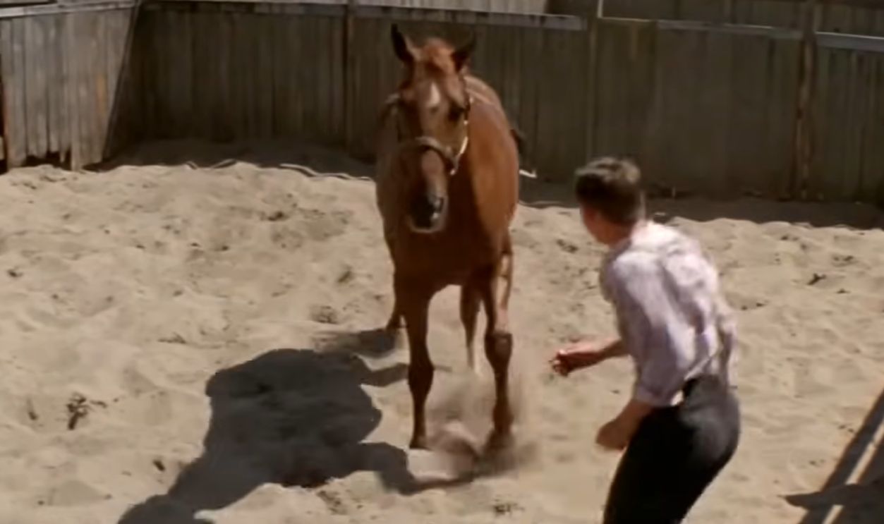 Screenshot from Phar Lap (1983)