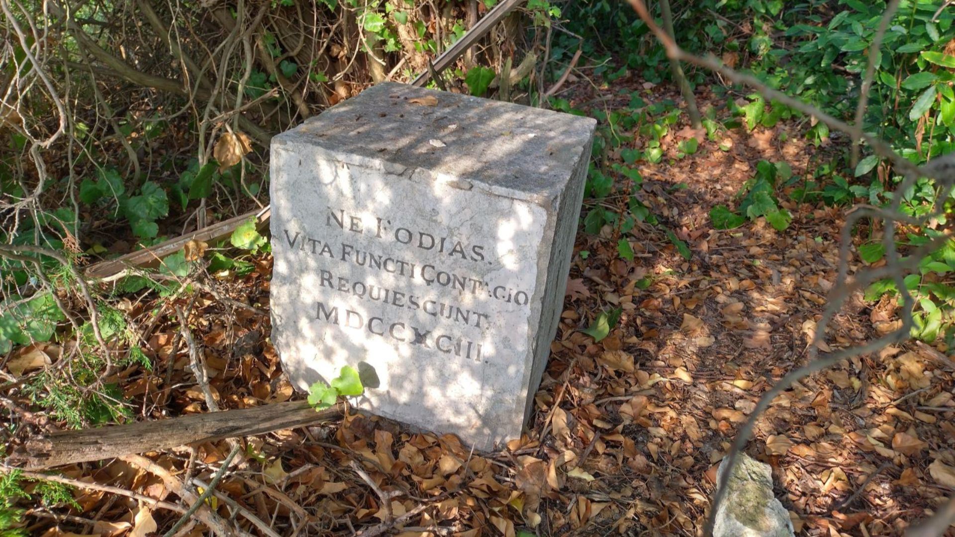 Stone with Latin inscription from 1793 found on Poveglia. The text reads