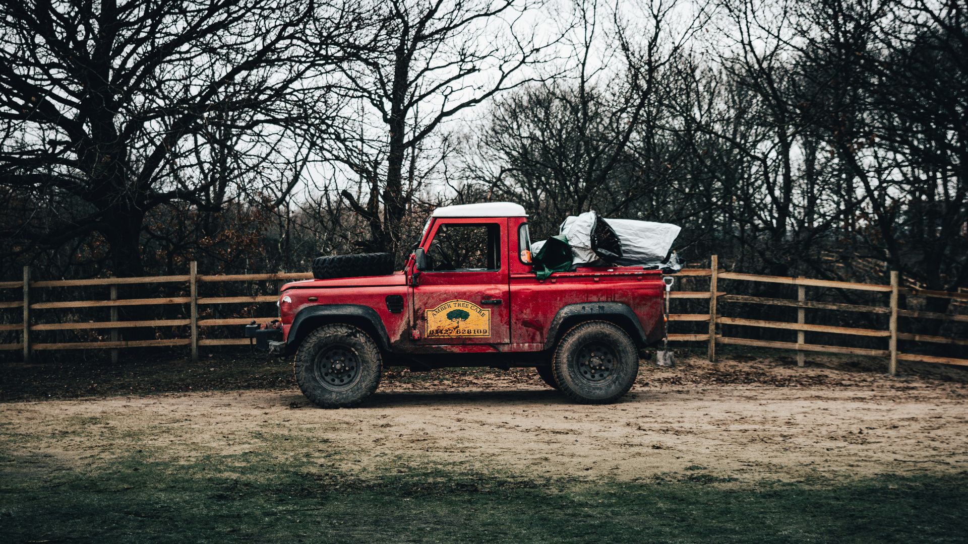 red and black single cab pickup truck parked on green grass field near bare trees during