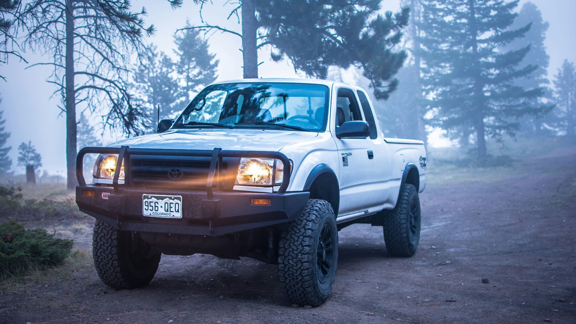 white and black Toyota vehicle parked near green trees