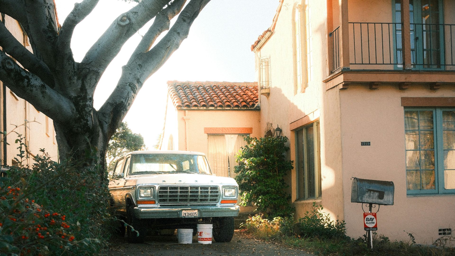 Old truck parked under a large tree near house