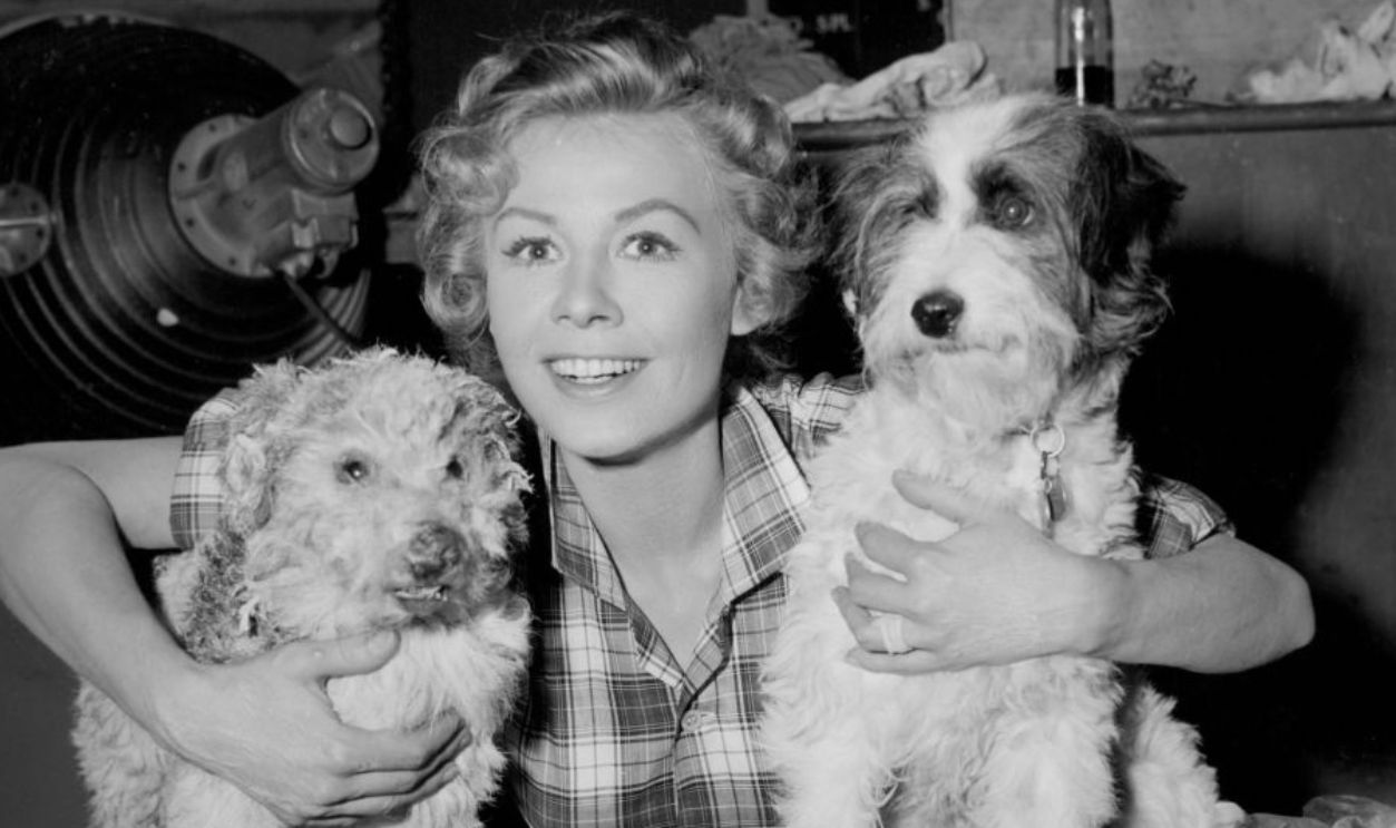 Vera-Ellen holding four legged friends in publicity portrait for the film 'Let's Be Happy', 1957. 
