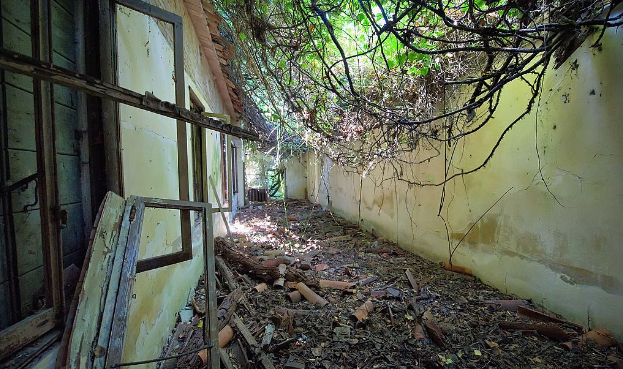 Poveglia Island