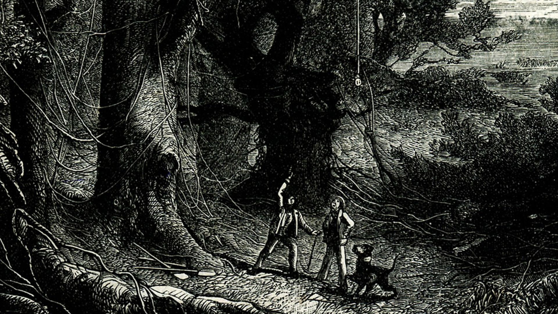 Illustration to