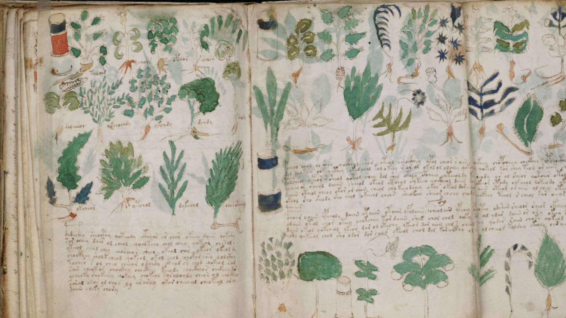 A page from the mysterious Voynich manuscript, which is undeciphered to this day.