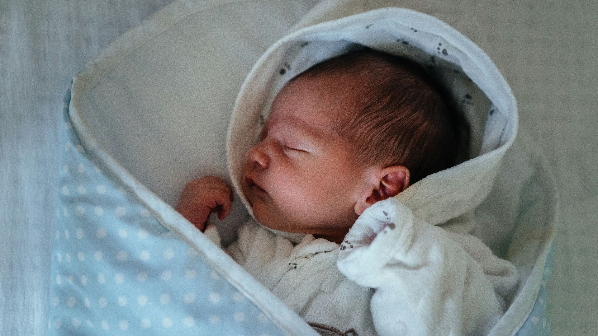baby in white and gray blanket