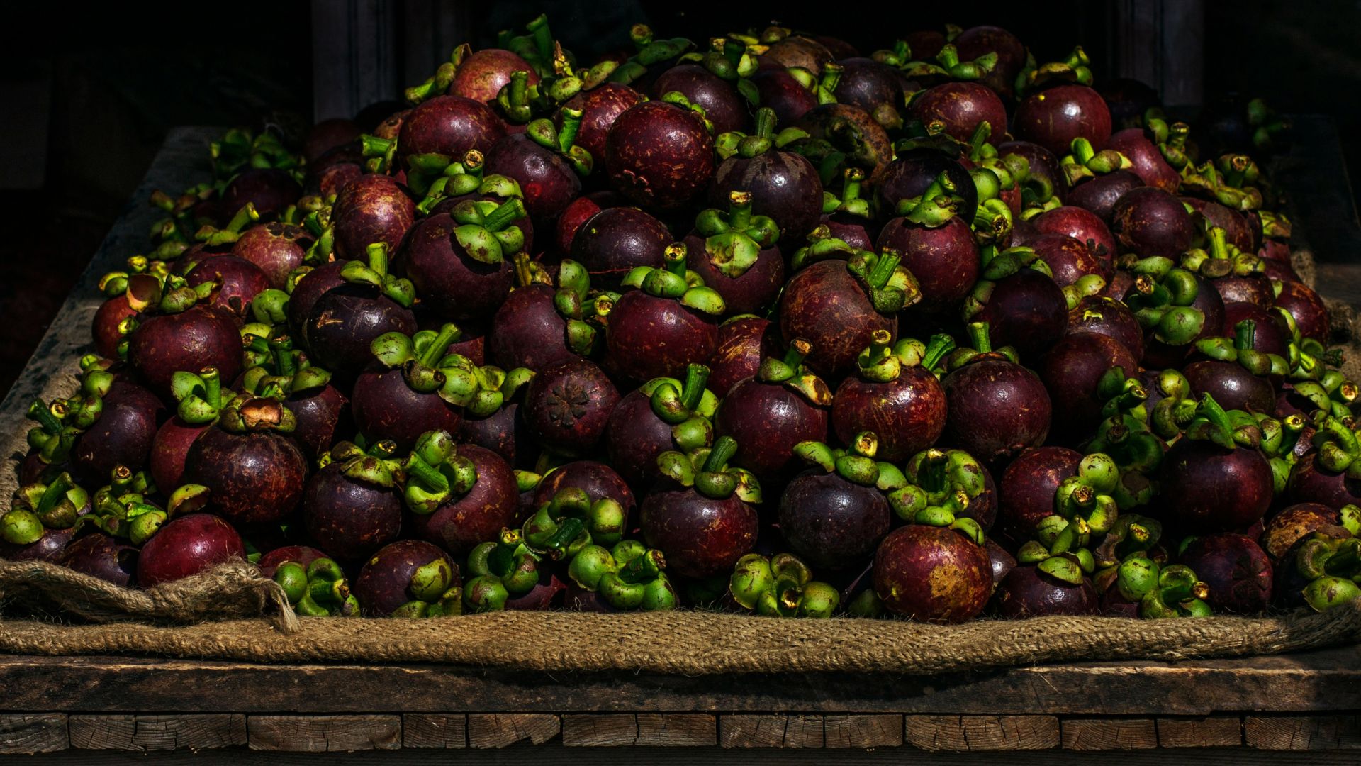 A large pile of fresh mangosteens on burlap