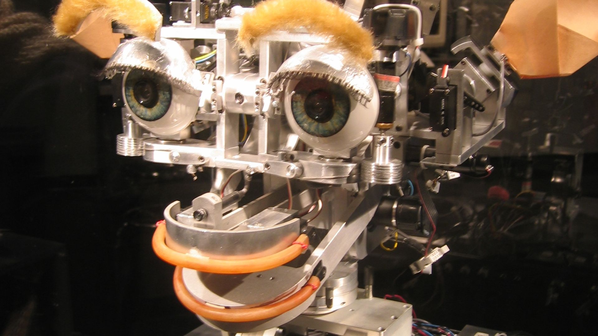 File:Kismet robot 20051016.jpg