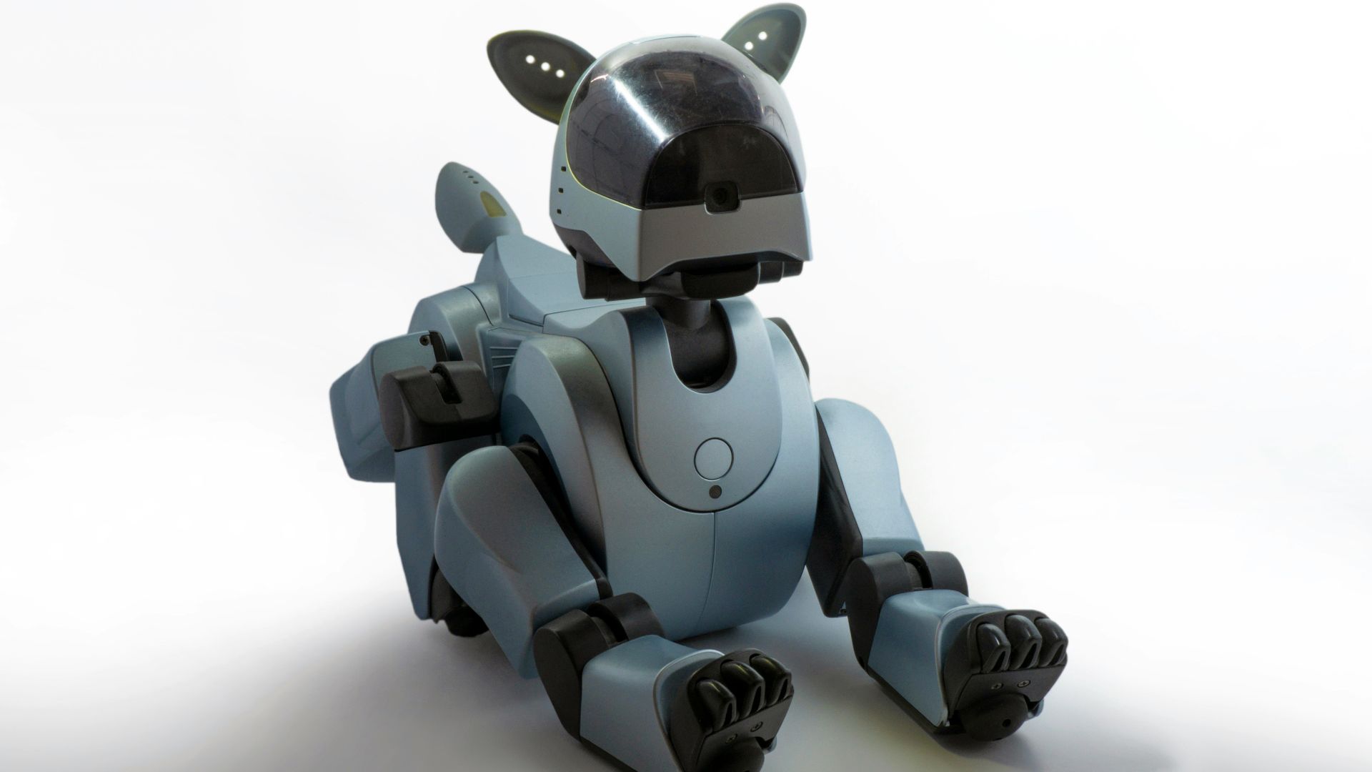 brown dog robot toy