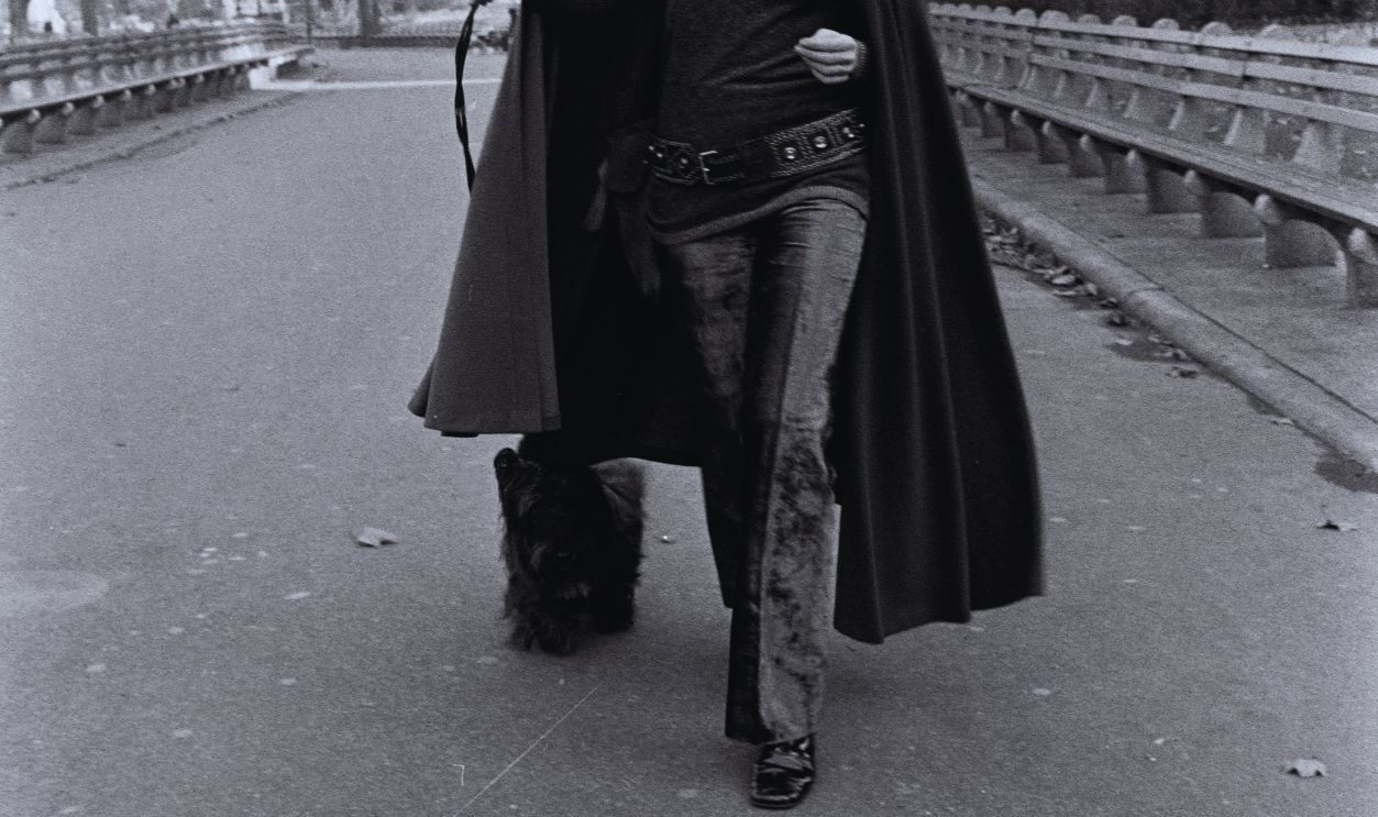 Gettyimages - 1467931829, Portraits of Ali MacGraw - 12 Dec 1969 