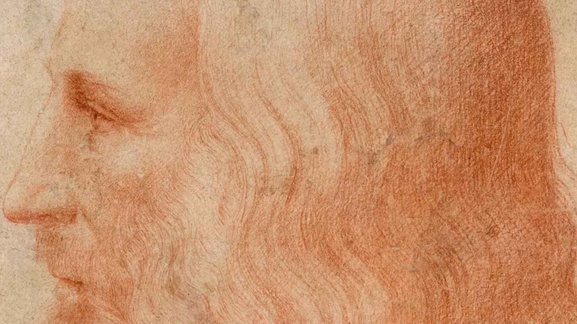 File:Francesco Melzi - Portrait of Leonardo.png