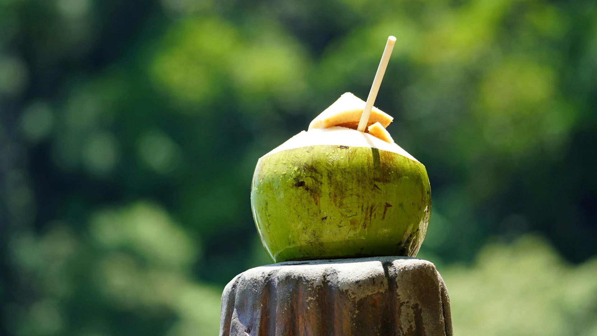 Close-up of a fresh green coconut with a straw, set against a lush tropical background.