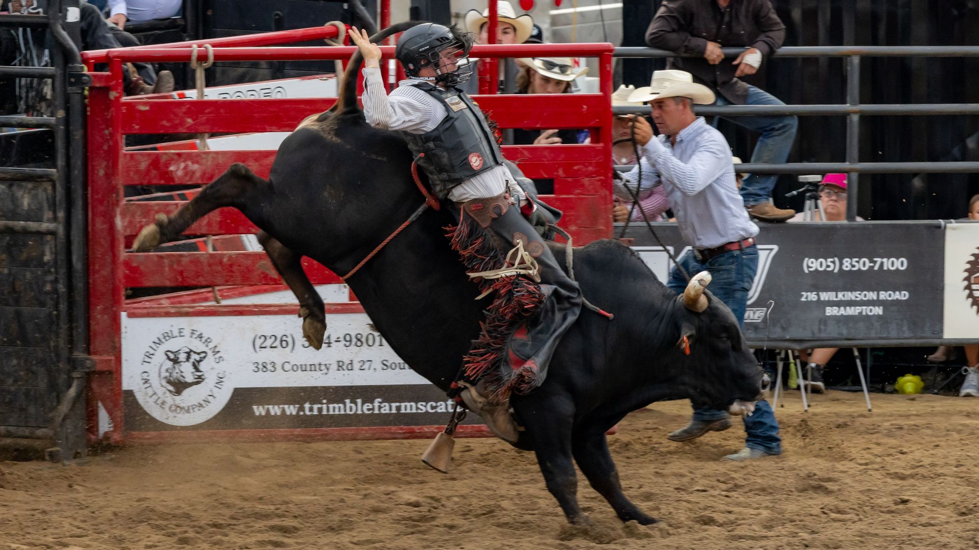 Bull riding, Kingsville Pro Rodeo, Woodslee, Ontario, 2025-07-26