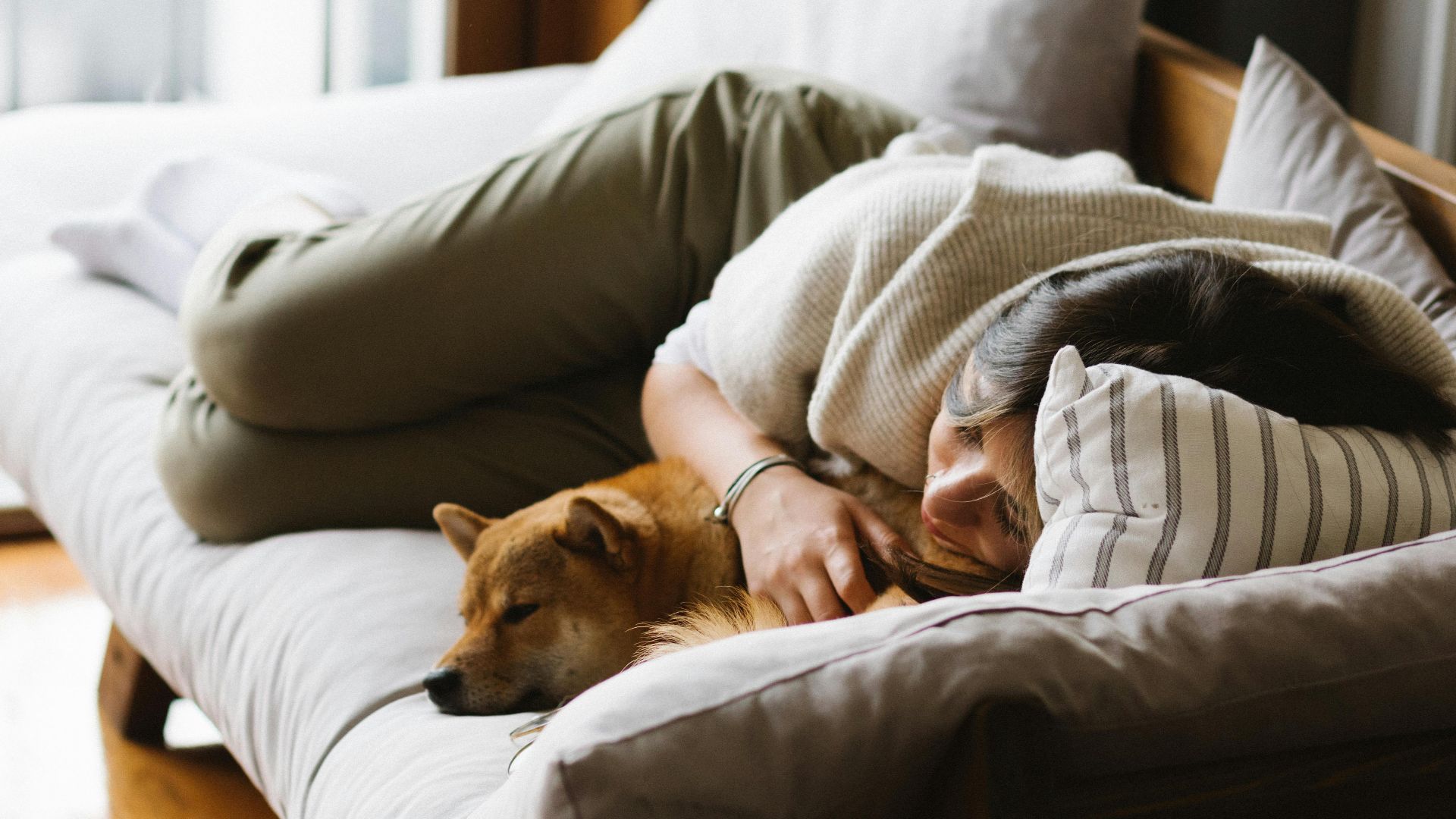 A peaceful scene of a woman napping with her Shiba Inu dog on a sofa.