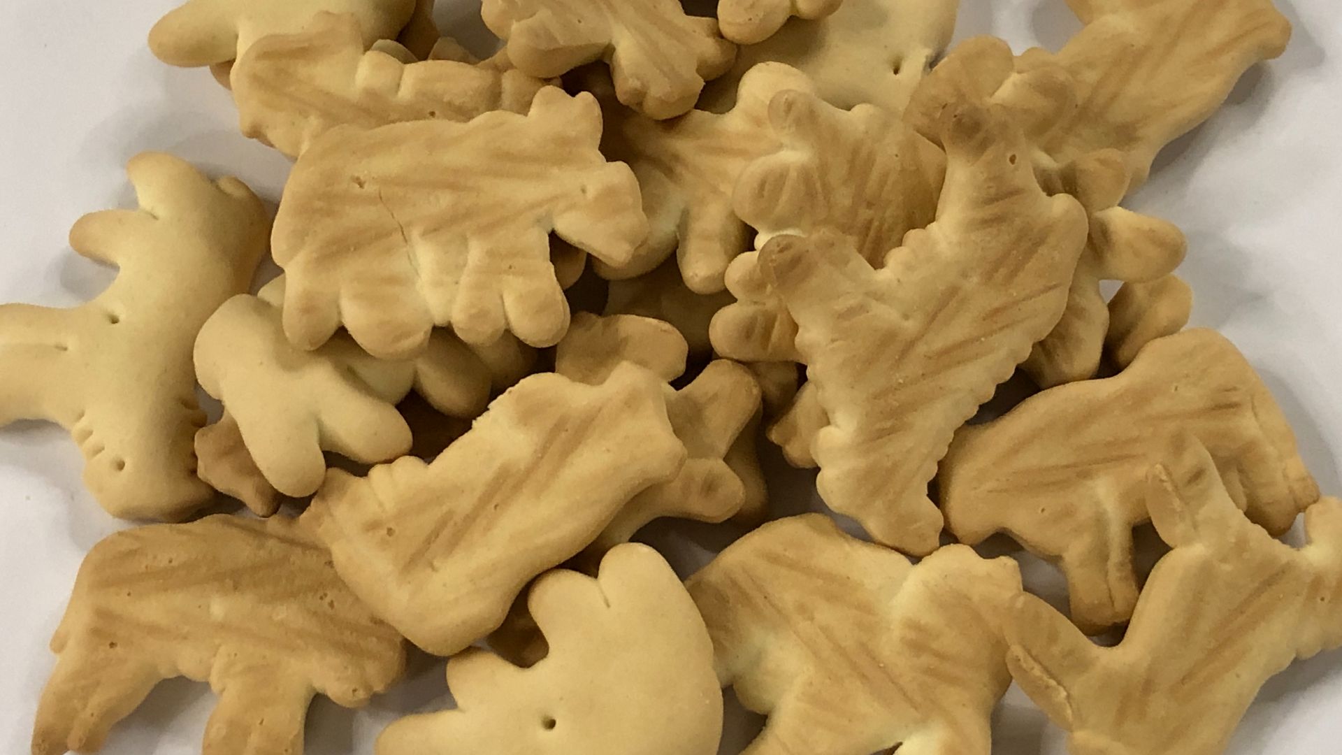 A sample of Stauffer's Original Animal Crackers in the Dulles section of Sterling, Loudoun County, Virginia