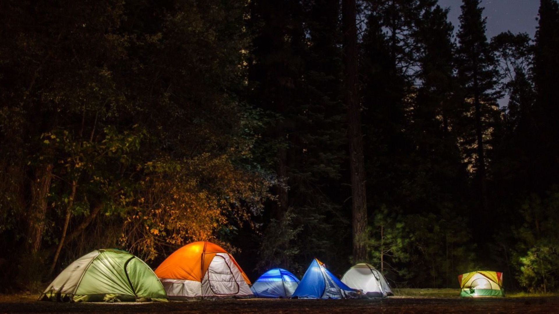 A peaceful campsite with tents illuminated under a night sky in a tranquil forest.