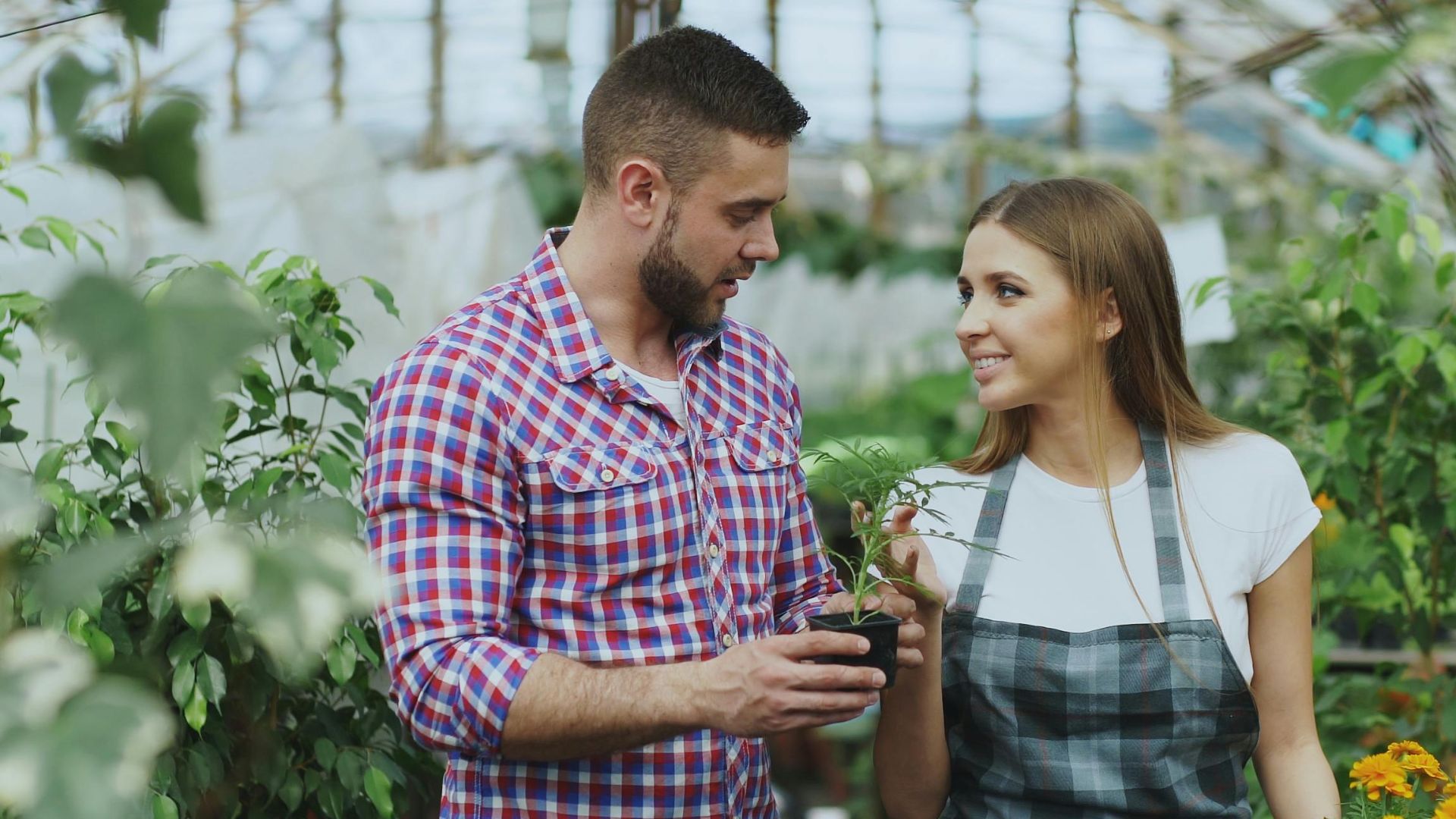 Smiling young couple tending plants inside a vibrant greenhouse filled with flowers.