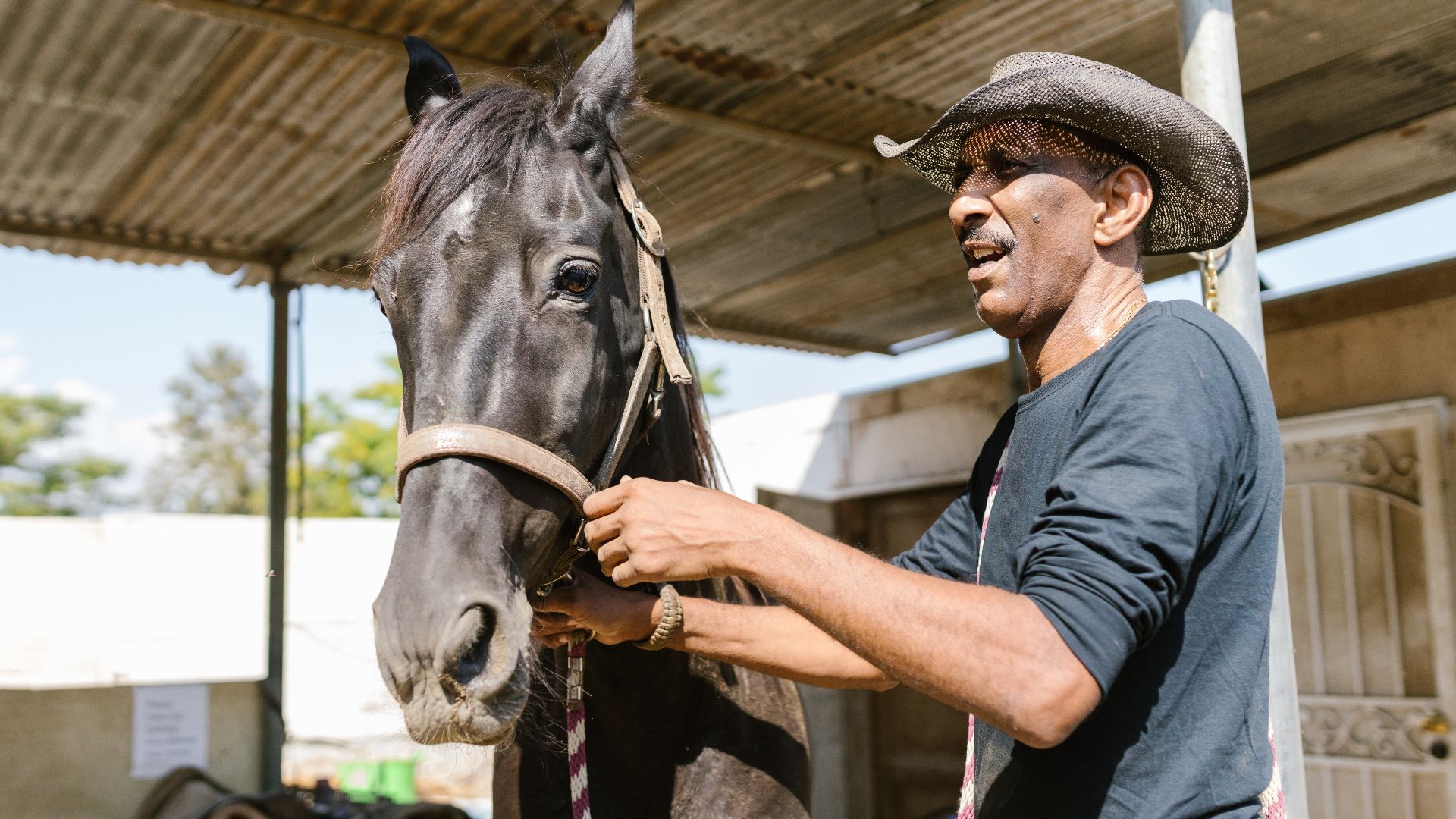A man in a cowboy hat prepares a black horse outside a rustic barn.